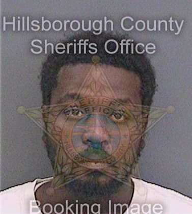 Johnson Demetrius - Hillsborough County, FL 