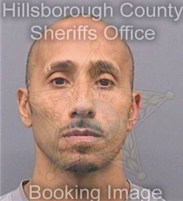 Famularo Nicholas - Hillsborough County, FL 