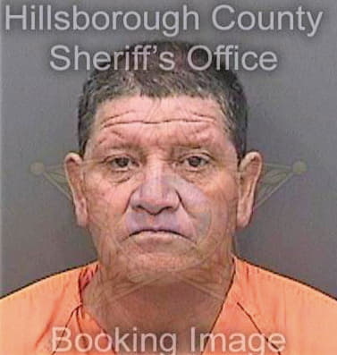 Mezadelangel Julio - Hillsborough County, FL 