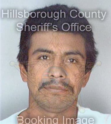 Rios Teodolo - Hillsborough County, FL 