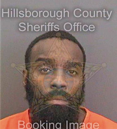 Mcfarland Anthony - Hillsborough County, FL 