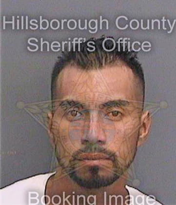 Vazquezreynoso Jesus - Hillsborough County, FL 