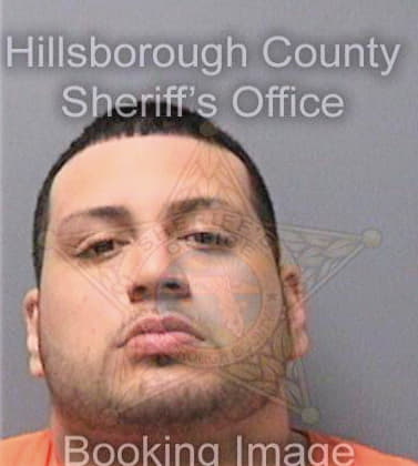 Ramirez Marcelo - Hillsborough County, FL 