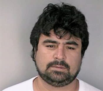 Melendez Arnoldo - Hillsborough County, FL 