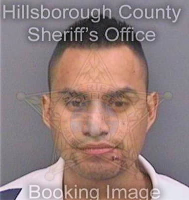 Vasquezcervantes Miguel - Hillsborough County, FL 