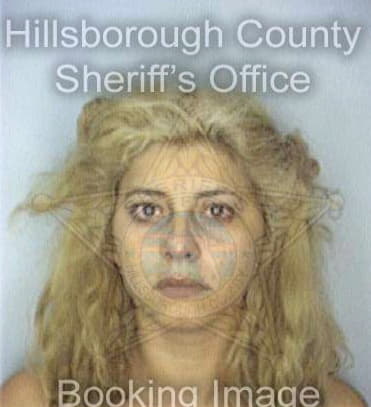 Mejias Niurka - Hillsborough County, FL 