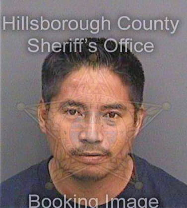 Bautistahernandez Pedro - Hillsborough County, FL 