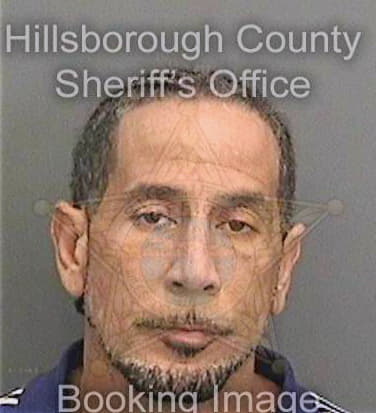 Mccoy William - Hillsborough County, FL 