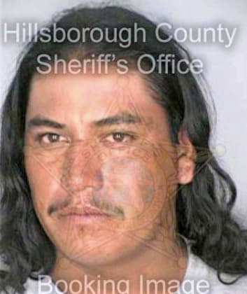 Perezrios Pedro - Hillsborough County, FL 