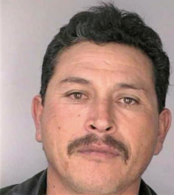 Silosmelendez Juan - Hillsborough County, FL 