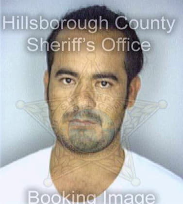 Garcia Gabino - Hillsborough County, FL 