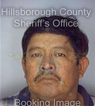Menchu Toribio - Hillsborough County, FL 