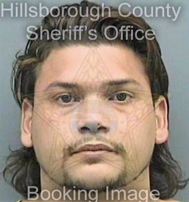 Michaels Roberto - Hillsborough County, FL 
