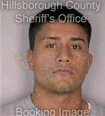 Martinez Juan - Hillsborough County, FL 