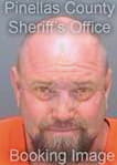 Martin William - Pinellas County, FL 