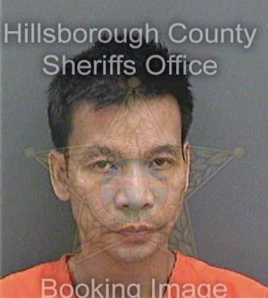 Nguyen Binh - Hillsborough County, FL 