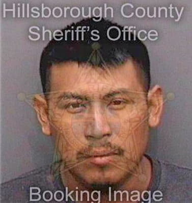 Delacruzalejo Jesus - Hillsborough County, FL 