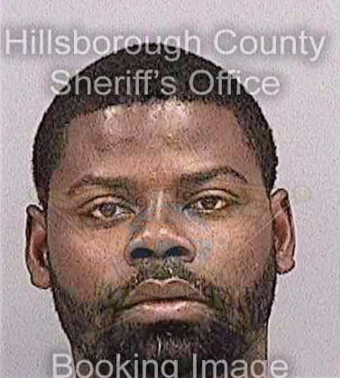 Mcintyre Remer - Hillsborough County, FL 