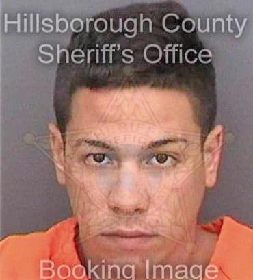 Vazquezmartinez Justin - Hillsborough County, FL 