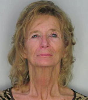 Wasserman Shirley - Hillsborough County, FL 