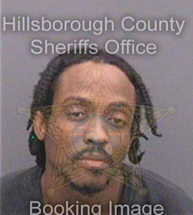 Mckinnon Troy - Hillsborough County, FL 