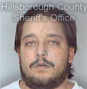 Fogel David - Hillsborough County, FL 