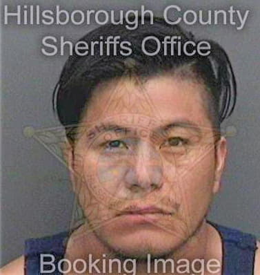 Perezmendez Selvin - Hillsborough County, FL 