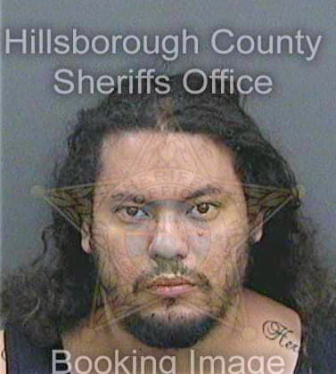 Perez Manuel - Hillsborough County, FL 