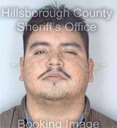 Contreras Francisco - Hillsborough County, FL 