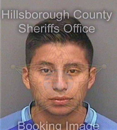 Luisalvarado Oliver - Hillsborough County, FL 