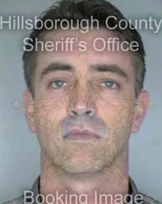 Daniel David - Hillsborough County, FL 