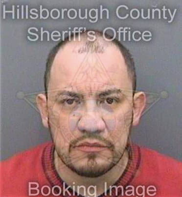 Espinoza Alvaro - Hillsborough County, FL 