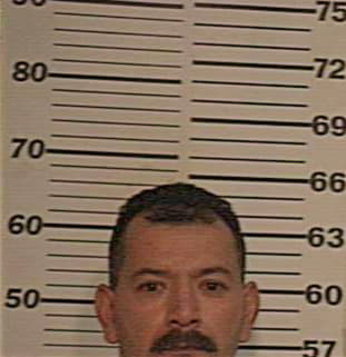 Garcia Reynaldo - Hidalgo County, TX 