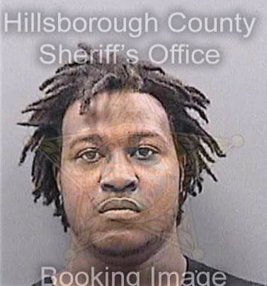 Goggins Leterrance - Hillsborough County, FL 