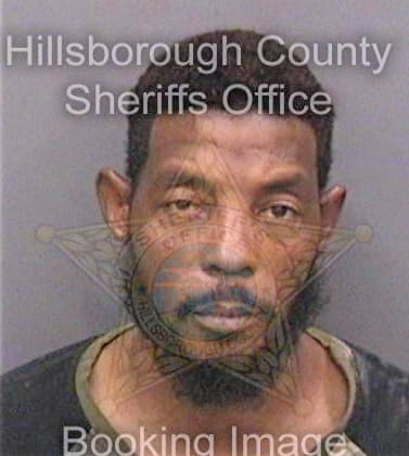 Brunson Kelvin - Hillsborough County, FL 