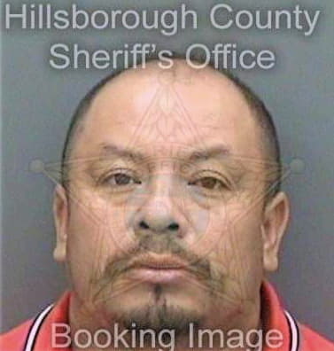 Lucas Roberto - Hillsborough County, FL 