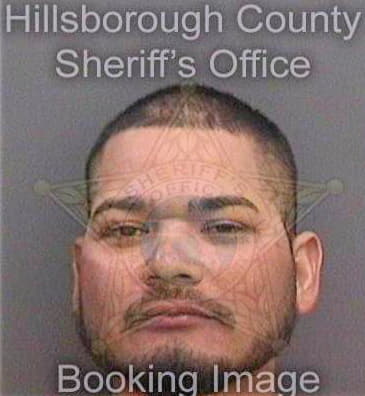 Perezjaimez Arturo - Hillsborough County, FL 