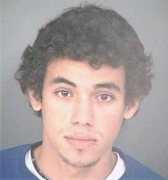 Mejia Jean - Hillsborough County, FL 