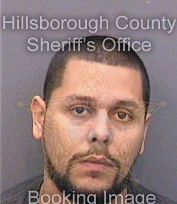 Martinez Antonio - Hillsborough County, FL 