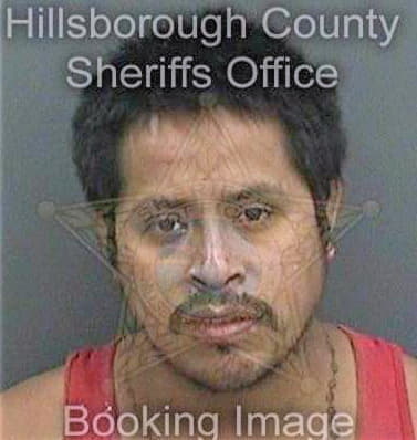 Vasquezjimenez Faustino - Hillsborough County, FL 