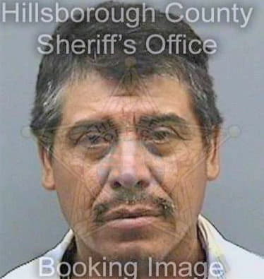 Correa Ignacio - Hillsborough County, FL 