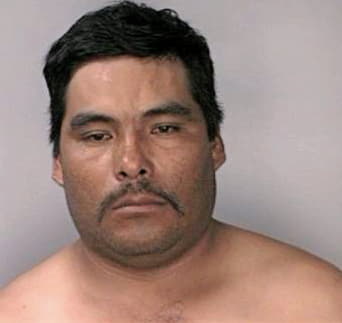Mentadoramon Alejandro - Hillsborough County, FL 
