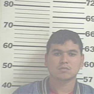 Aguirre Nicolas - Hidalgo County, TX 