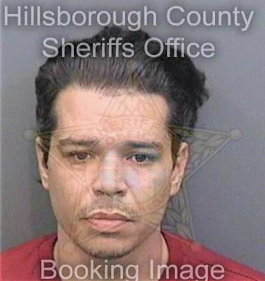 Gonzalez Alberto - Hillsborough County, FL 