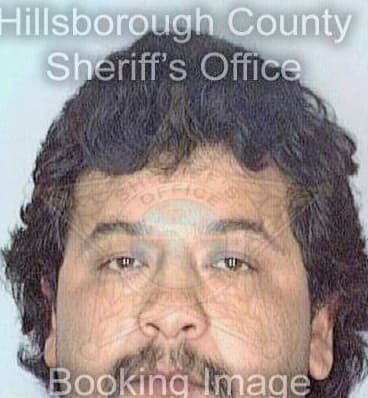 Garcia Juan - Hillsborough County, FL 