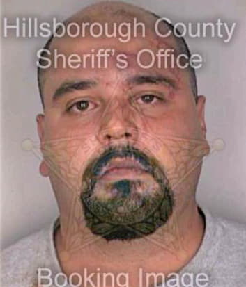 Gonzalez Juan - Hillsborough County, FL 