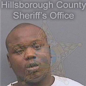 Elkins Carl - Hillsborough County, FL 