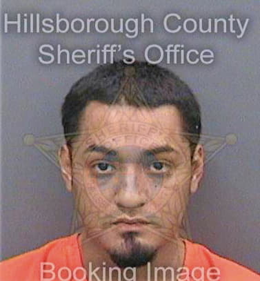 Ramirez Dennis - Hillsborough County, FL 