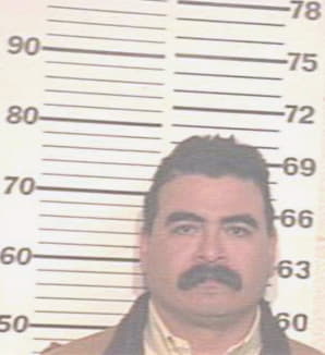 Hernandez Victor - Hidalgo County, TX 