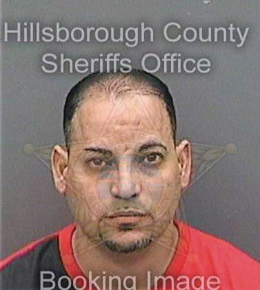 Jaquezburgos Jose - Hillsborough County, FL 